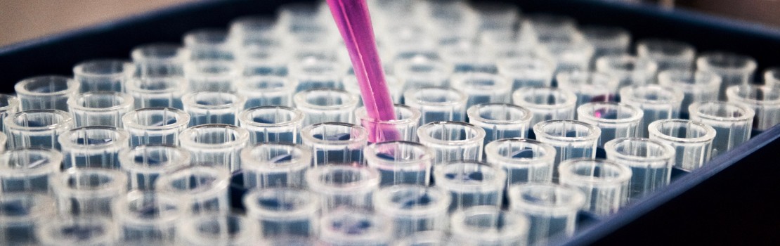Laboratorija