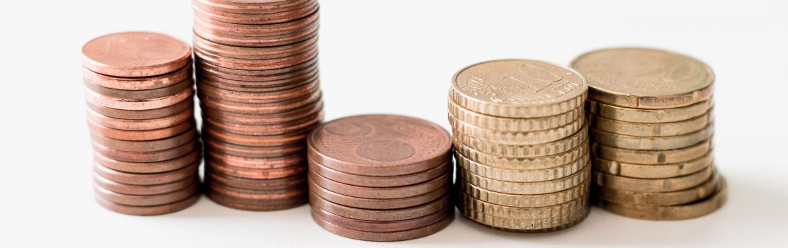 Saņemtais valsts vai pašvaldības budžeta finansējums un tā izlietojums