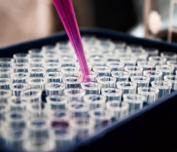 Laboratorija