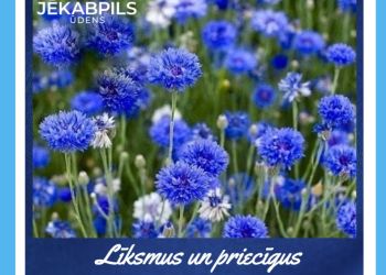 Priecīgus svētkus!